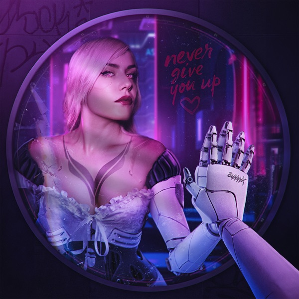 Never Give You Up (Earmake Remix) - Single album cover