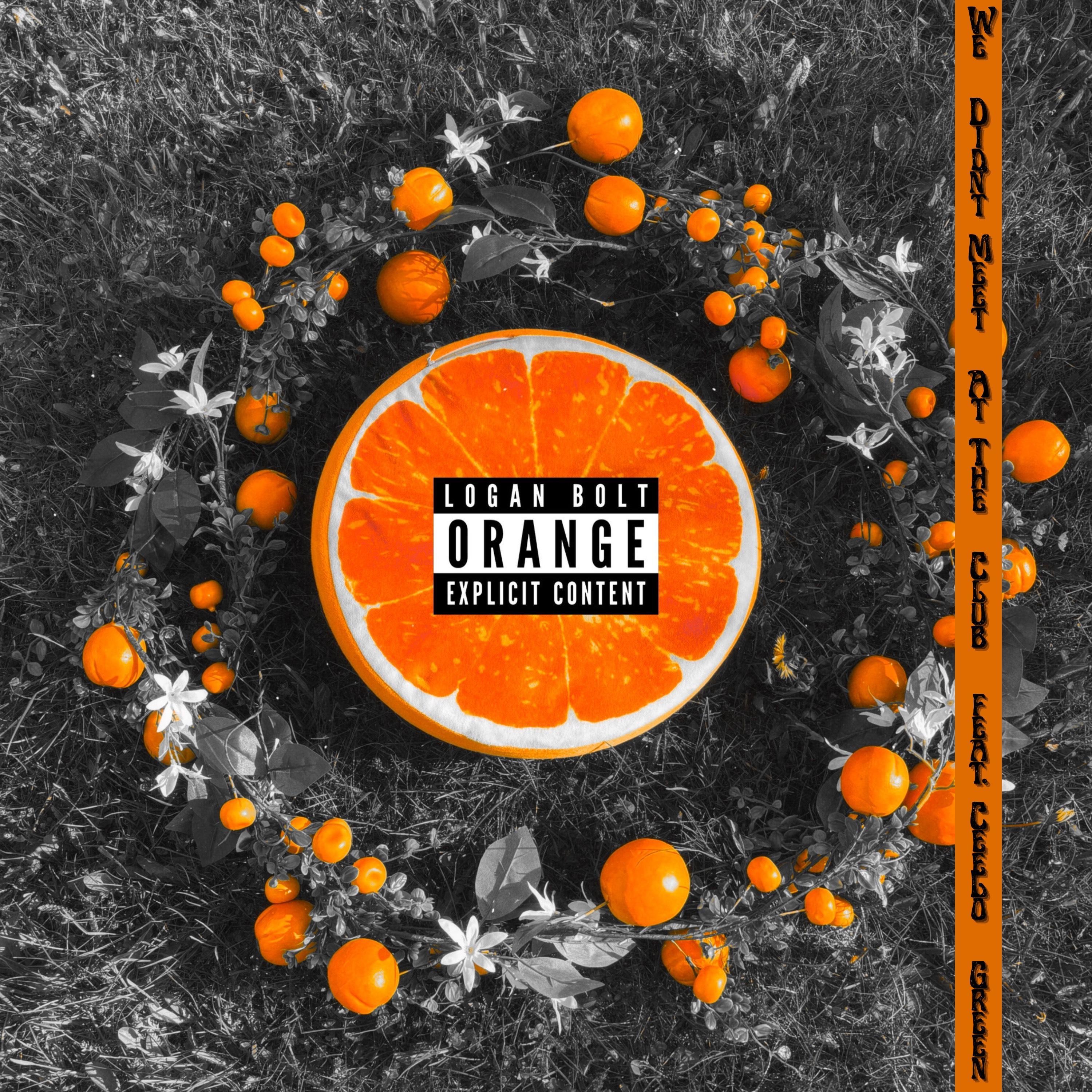 We Didn't Meet At The Club (feat. CeeLo Green) - Single album cover