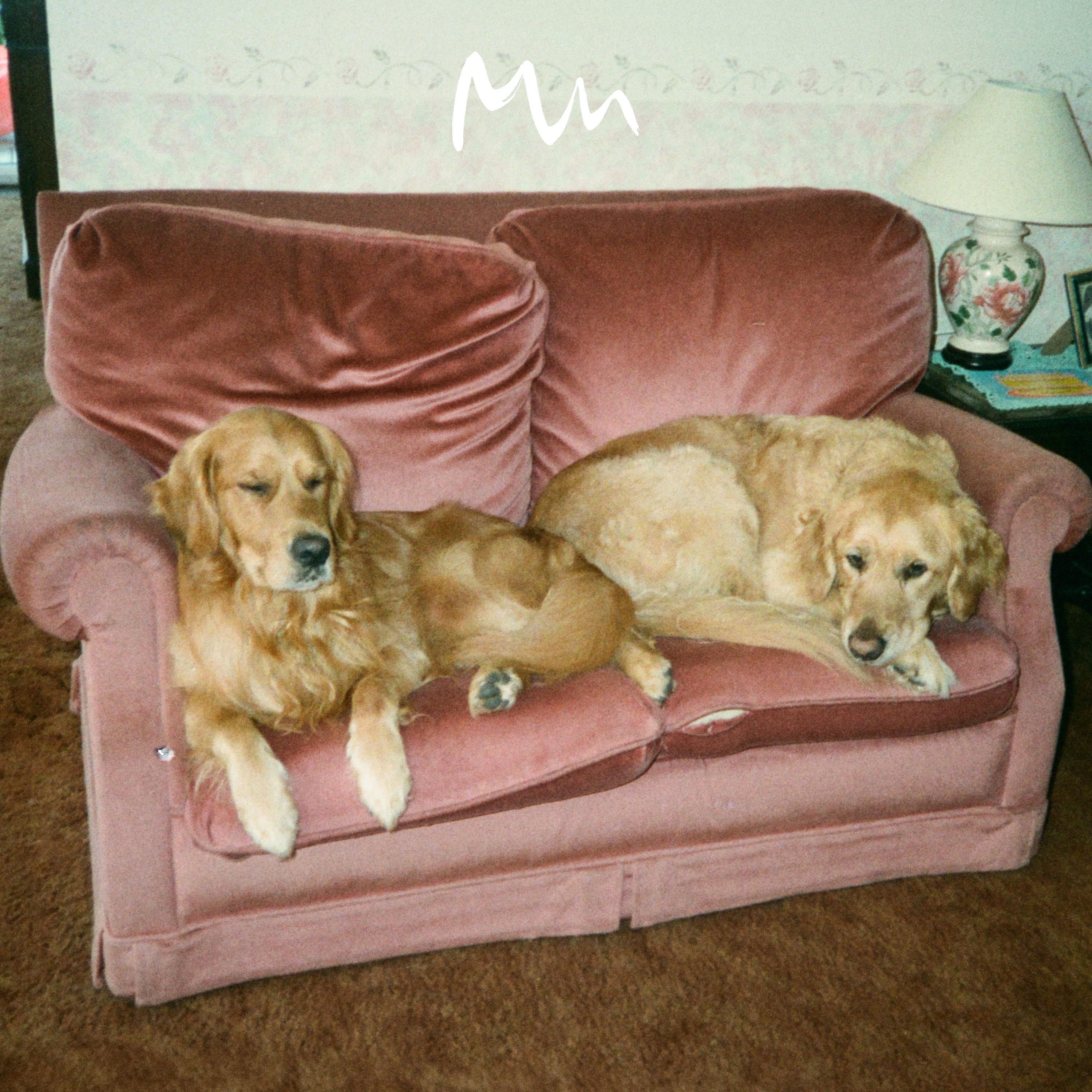 Shadows Pt. 3 - Single album cover