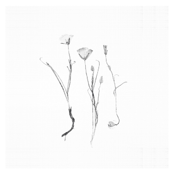 Three Consolations - Single album cover