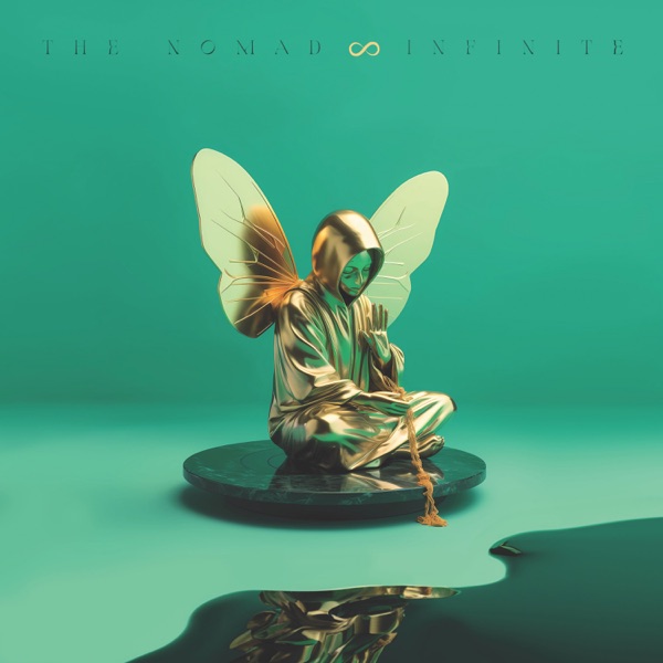 Infinite album cover