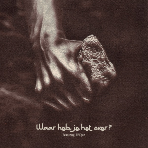 Waar Heb Je Het Over (feat. RBDjan) - Single album cover