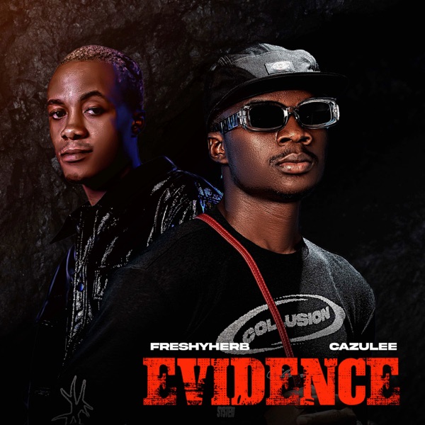 Evidence - Single album cover