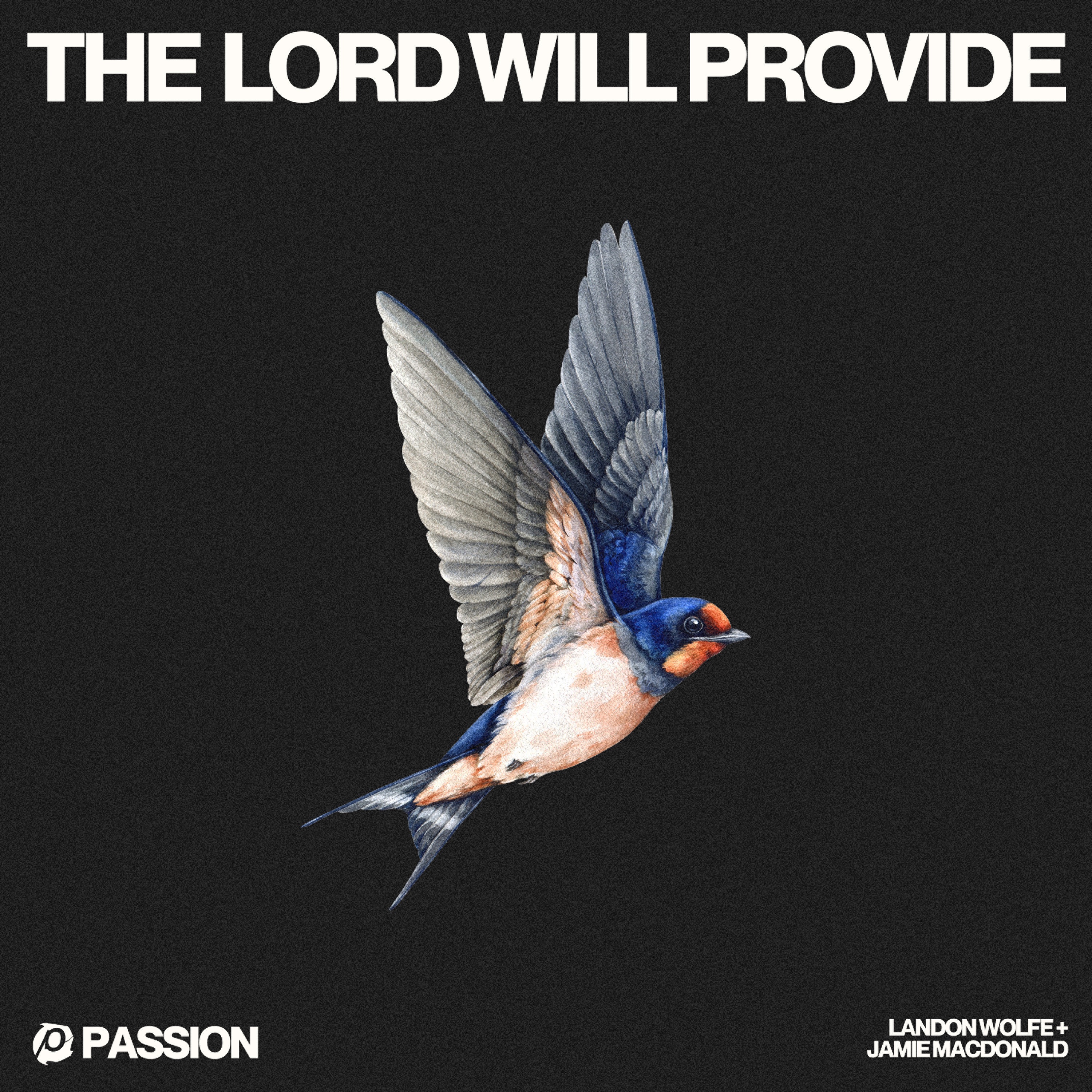 The Lord Will Provide - Single album cover