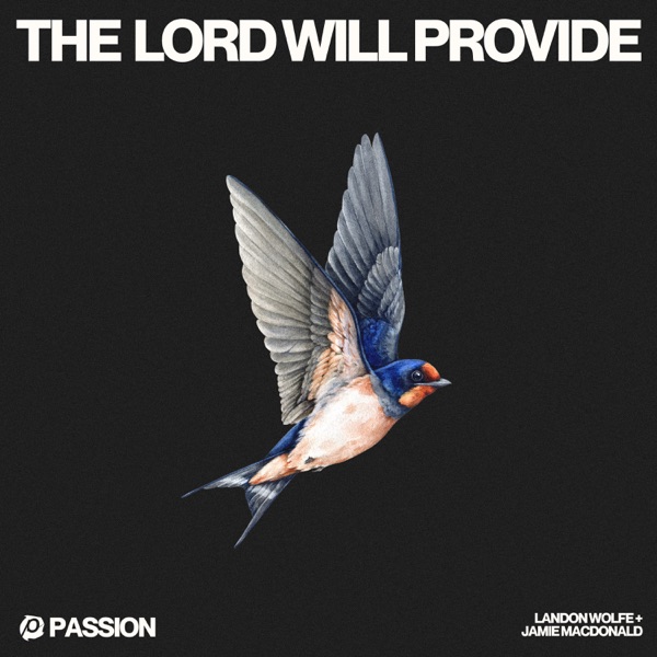 The Lord Will Provide - Single album cover