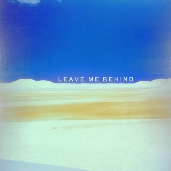 Leave Me Behind (feat. wowflower) - Single album cover