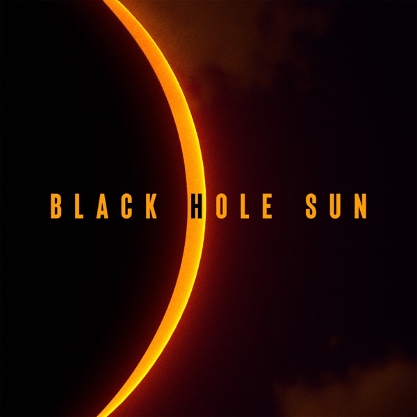 Black Hole Sun - Single album cover