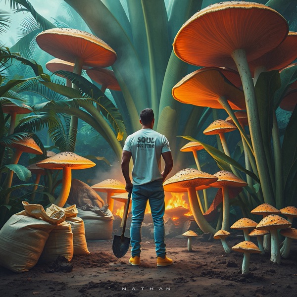 Soul on Fire - Single album cover