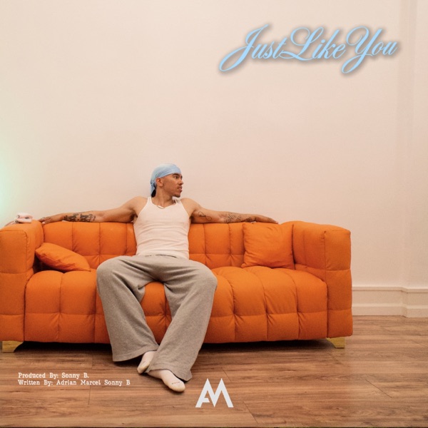 Just Like You - Single album cover