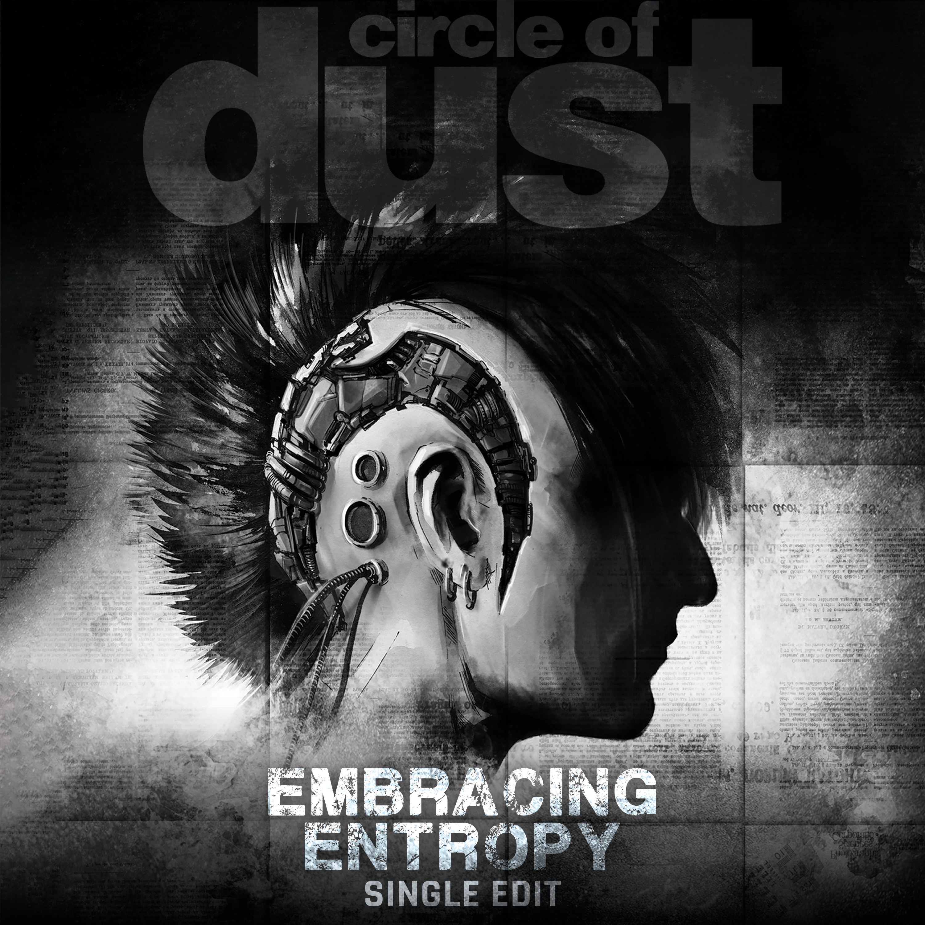 Embracing Entropy (Single Edit) - Single album cover