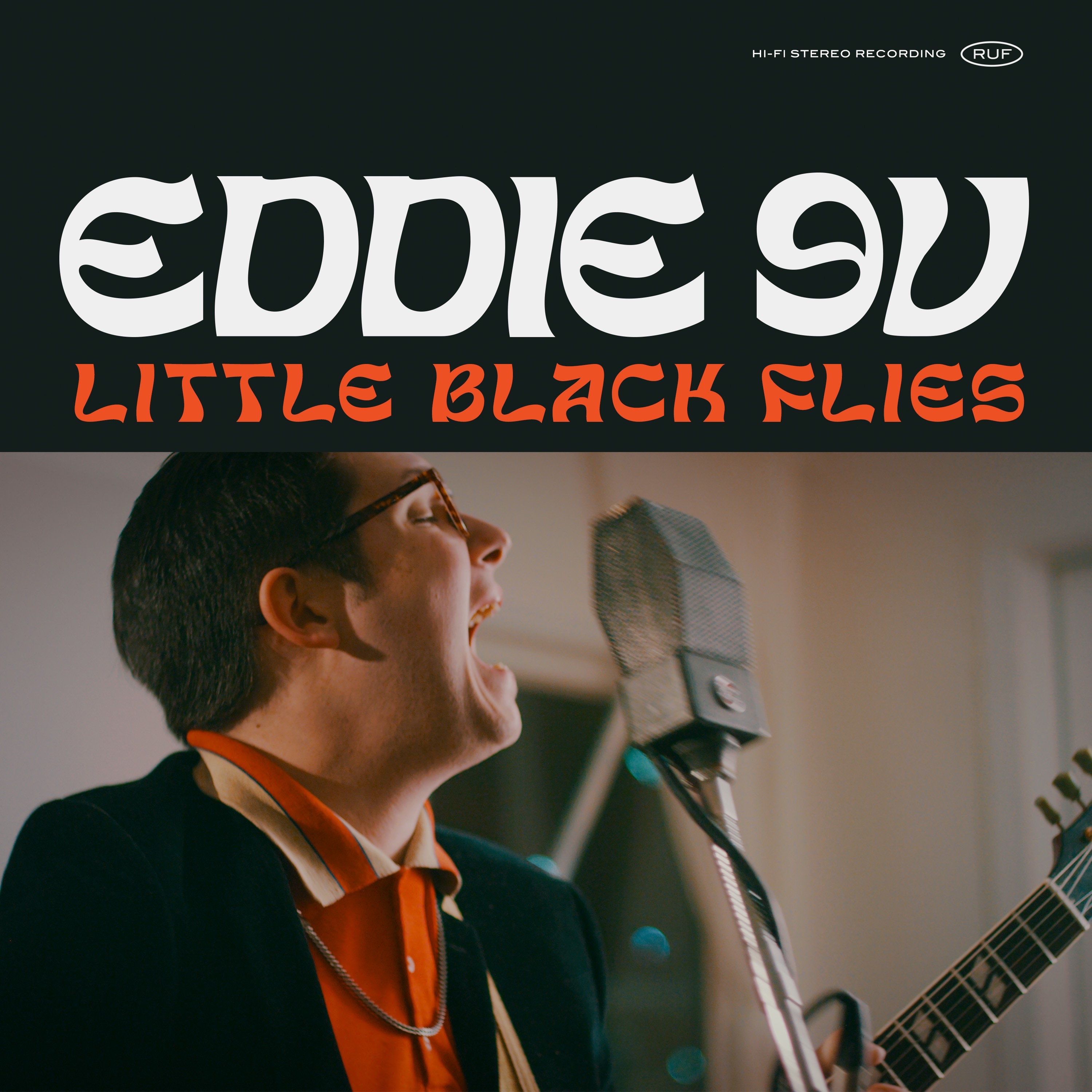 Little Black Flies album cover