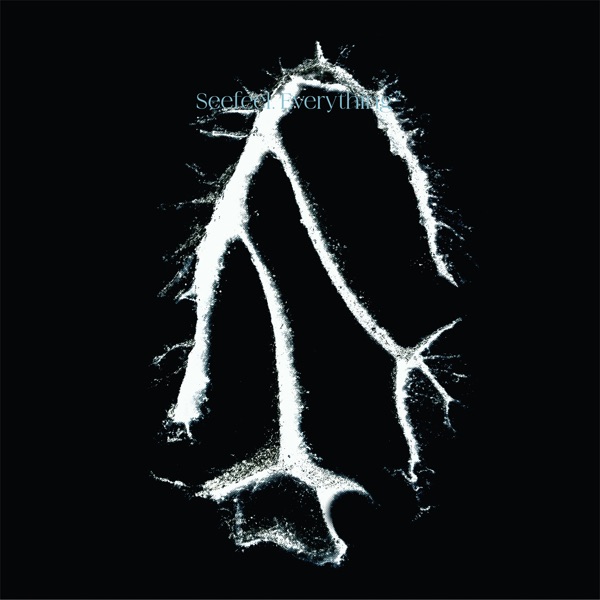 Everything Squared - EP album cover