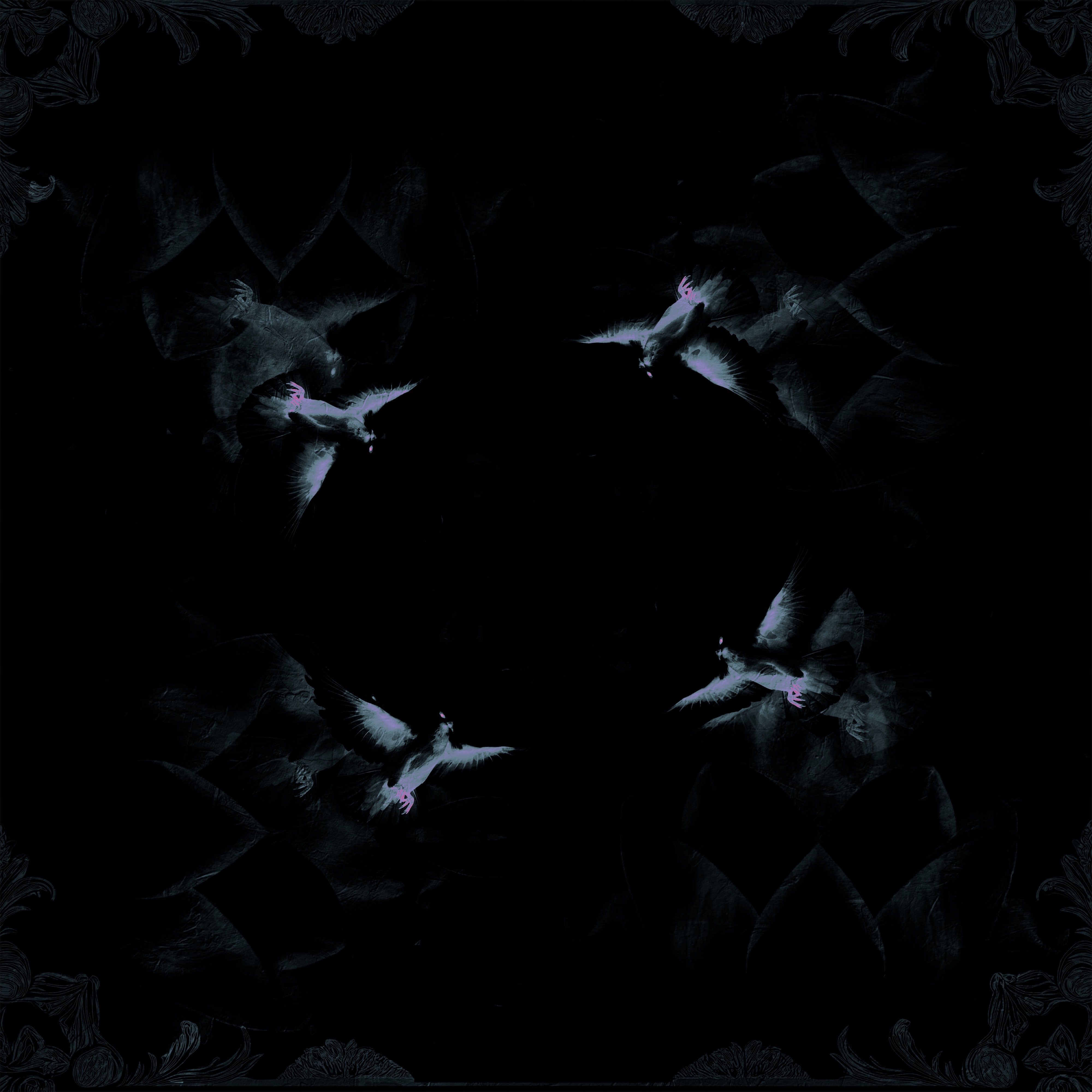 Blackout - Single album cover
