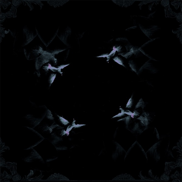 Blackout - Single album cover