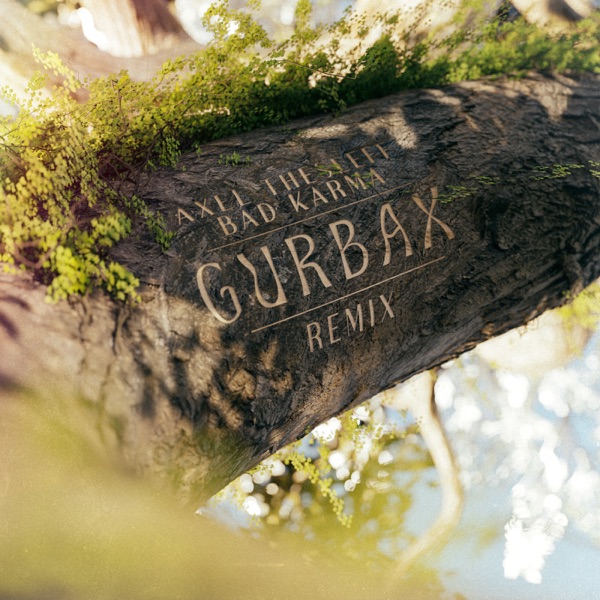 Bad Karma (Gurbax Remix) - Single album cover