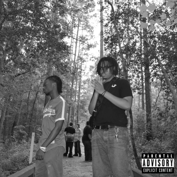 PRINCIPLE (feat. jspunx & sturdio) - Single album cover