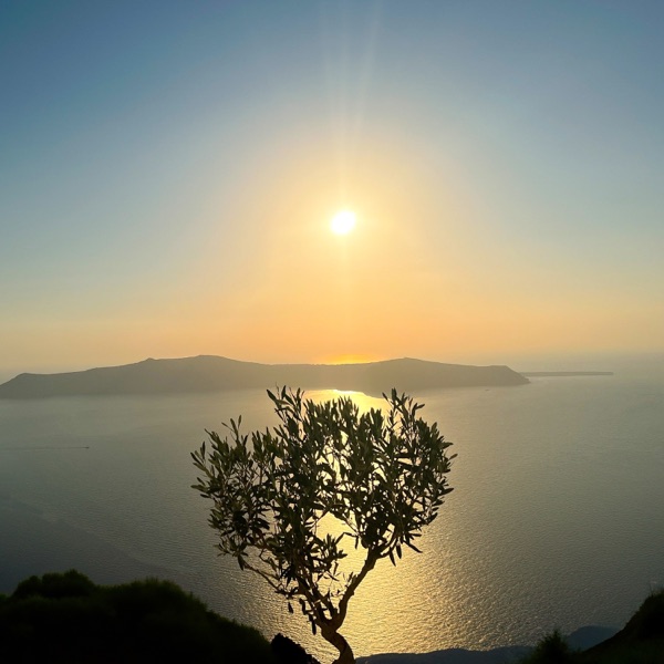 Focus Light (feat. Philipp Schiepek) - Single album cover