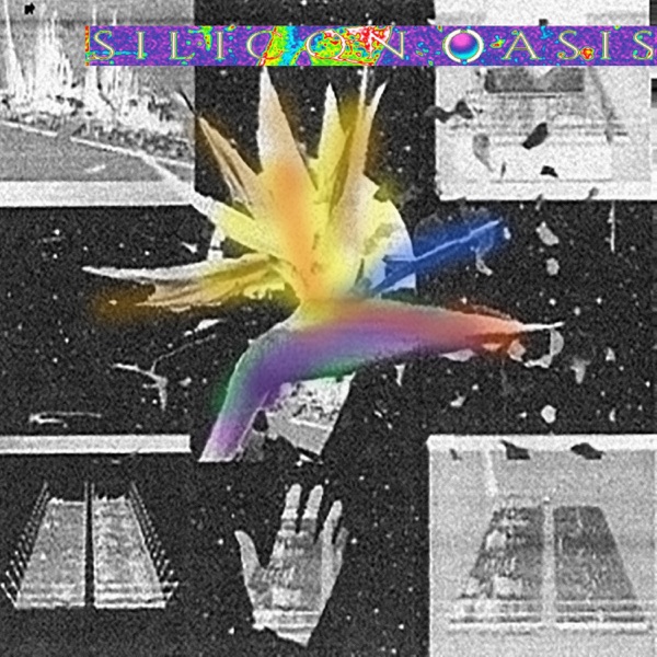 Silicon Oasis album cover