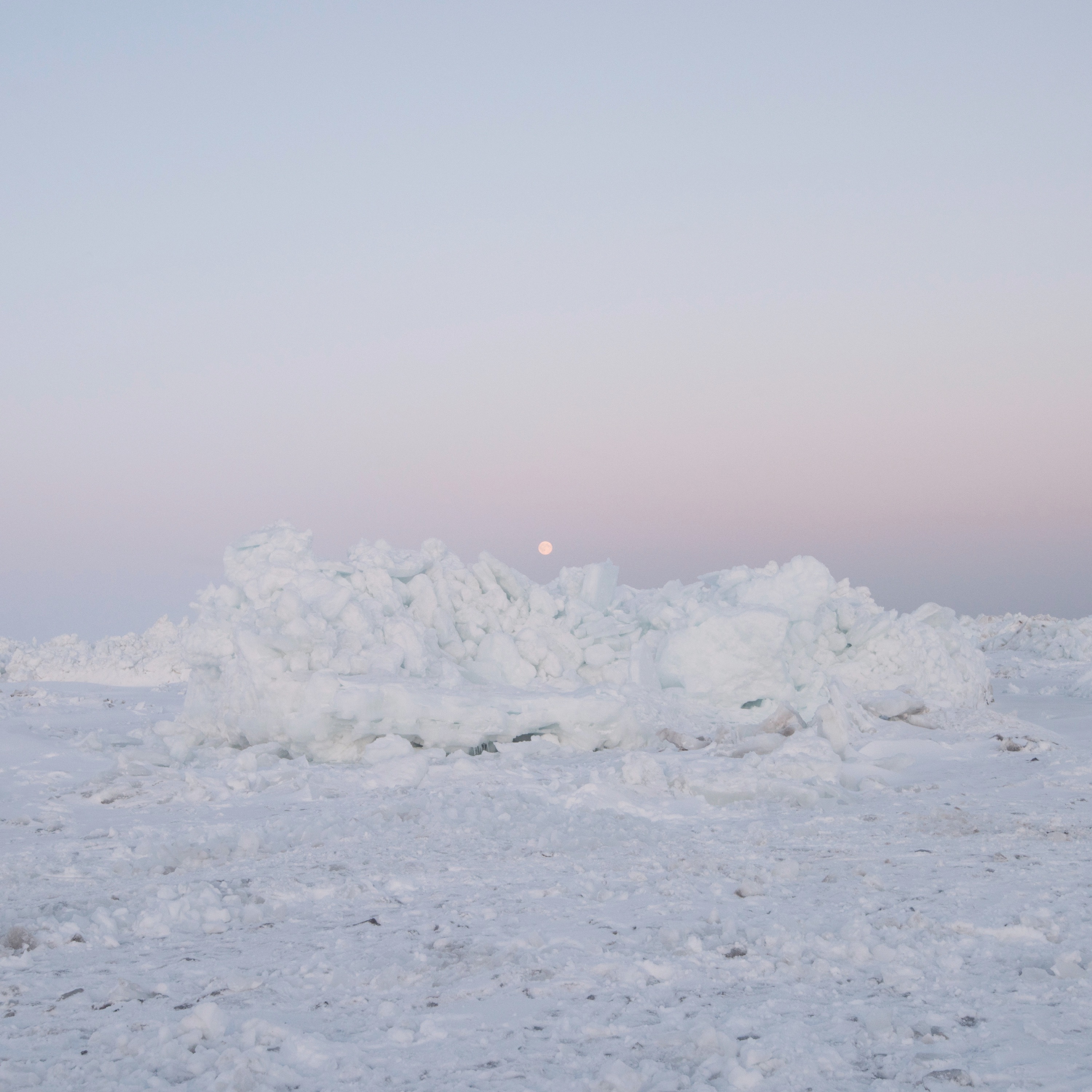 Terror Management album cover