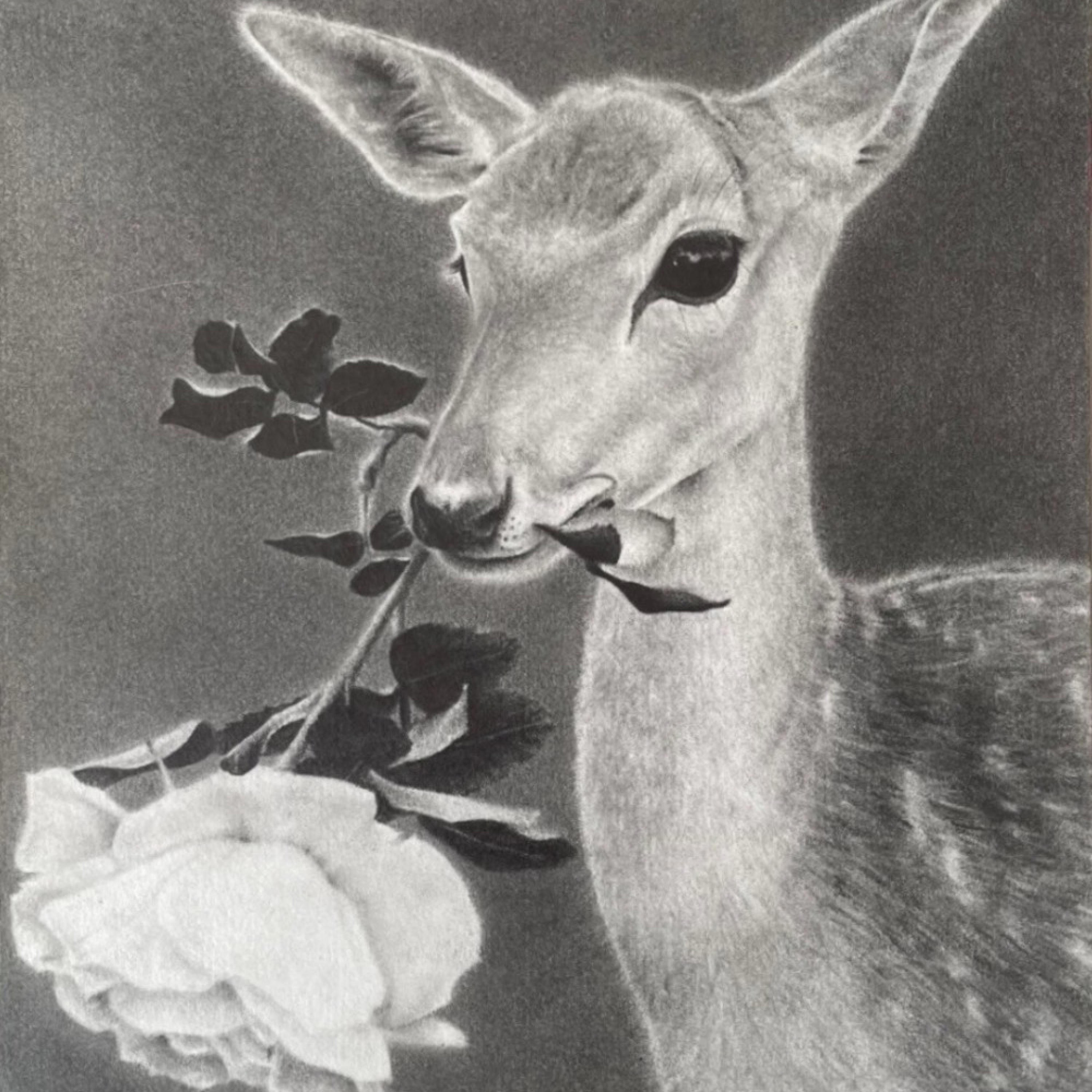 meaningful love - Single album cover