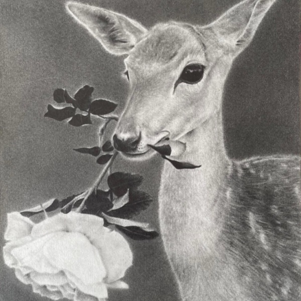 meaningful love - Single album cover