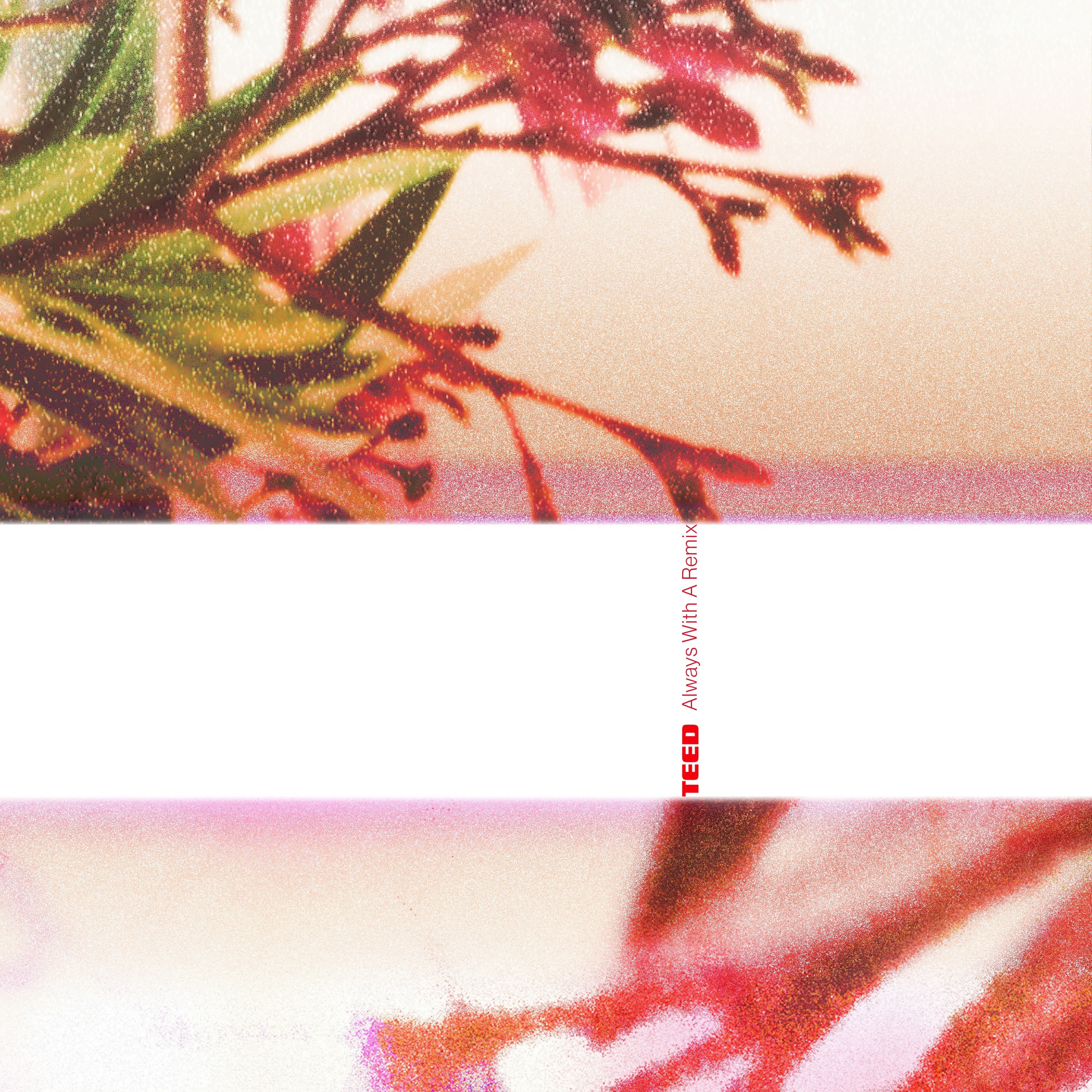 Always With A Remix album cover