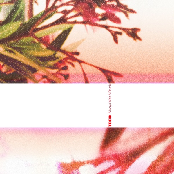 Always With A Remix album cover