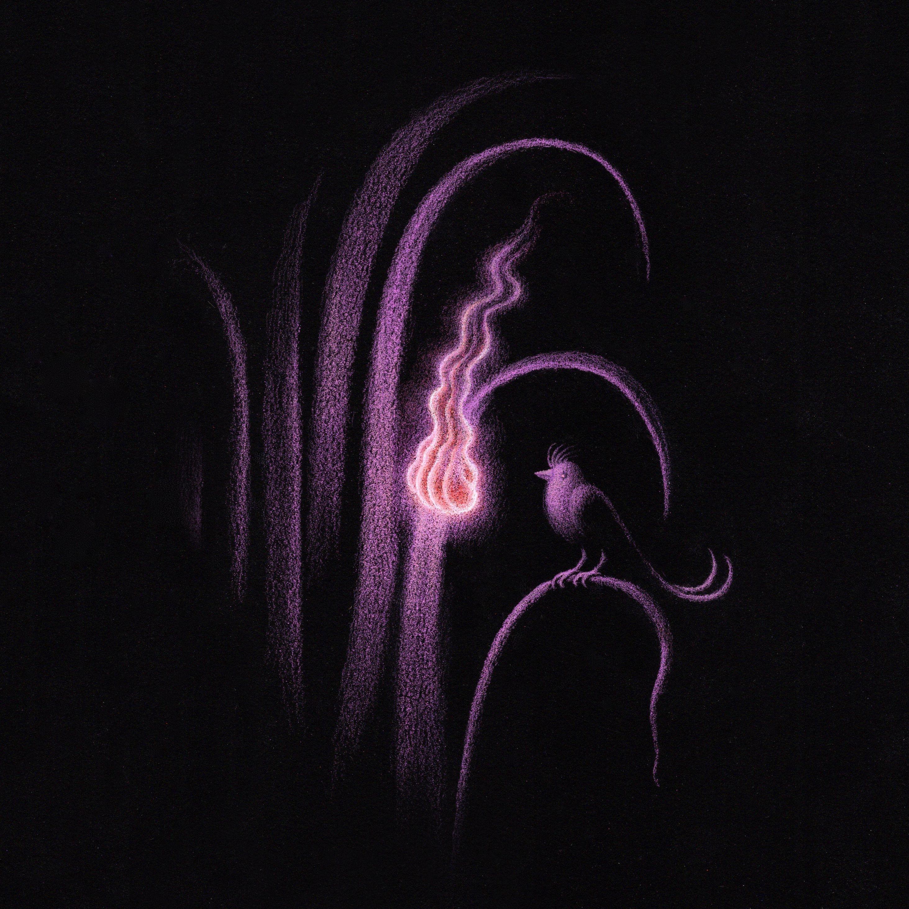 Sunchaser - Single album cover