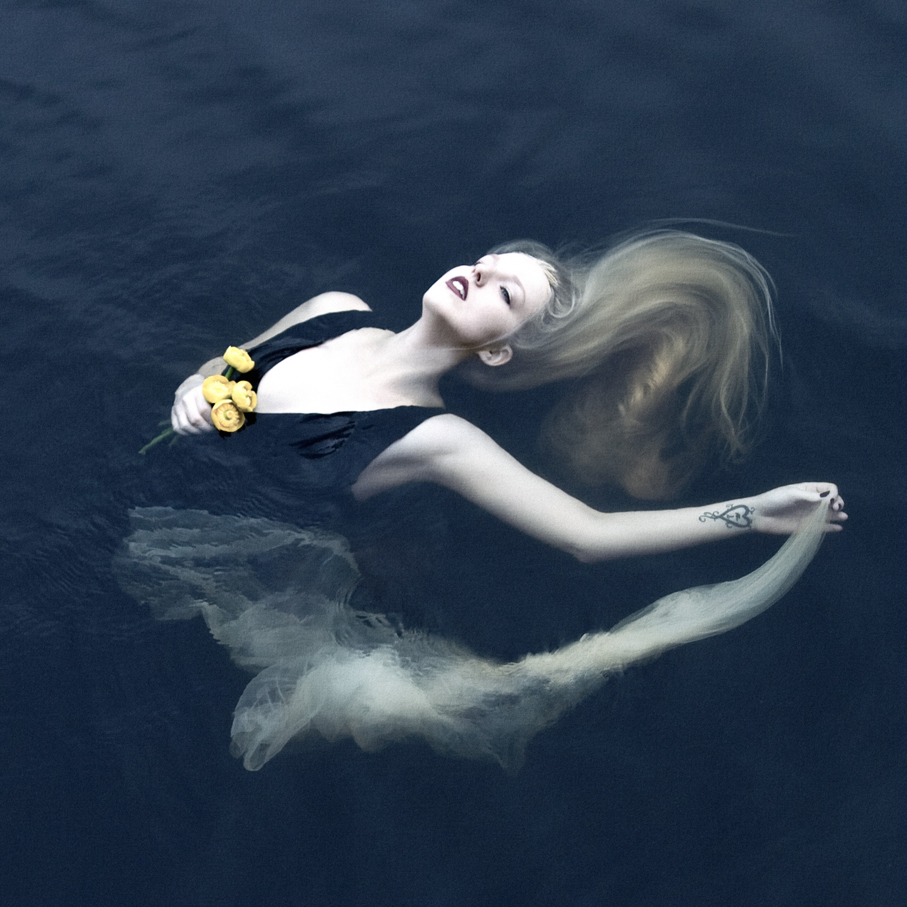 Silent Chamber, Noisy Heart (Remastered 2024) album cover