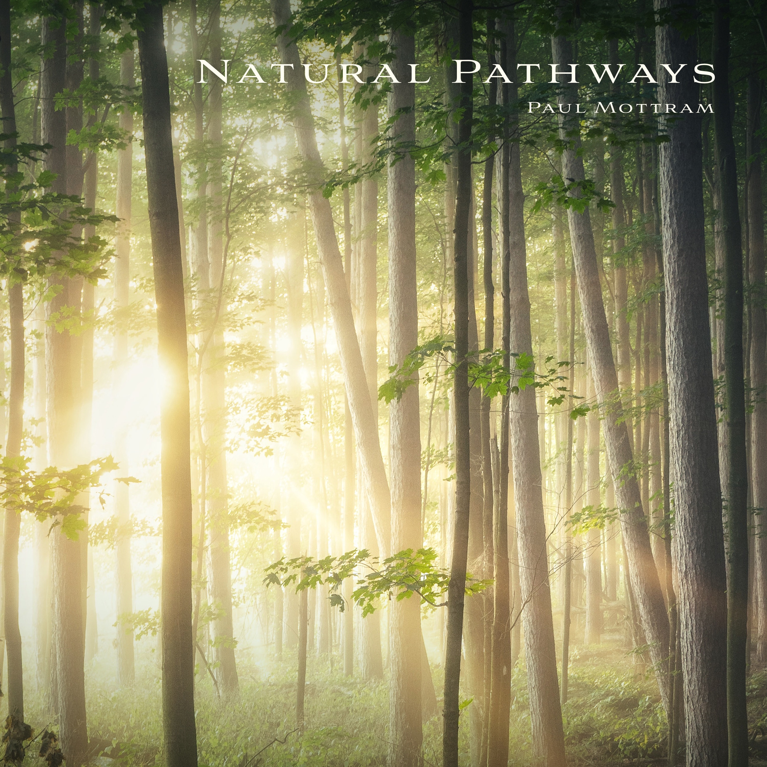 Natural Pathways (feat. Ben Dawson & Helen Tunstall) album cover