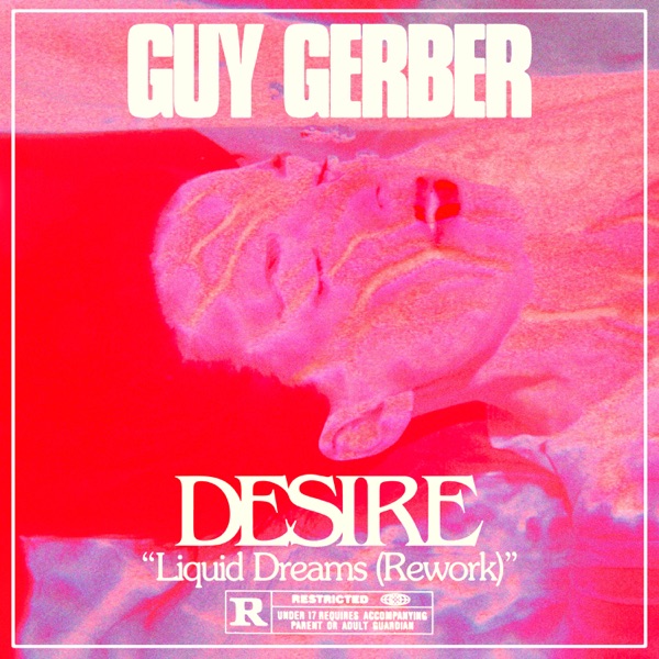 Liquid Dreams (Guy Gerber Rework) - Single album cover