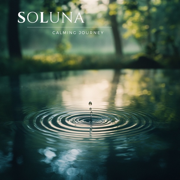 Calming Journey - Single album cover