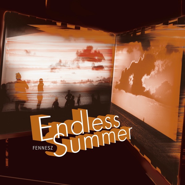 Endless Summer album cover