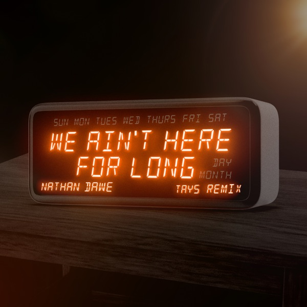 We Ain't Here For Long (Tays Remix) - Single album cover