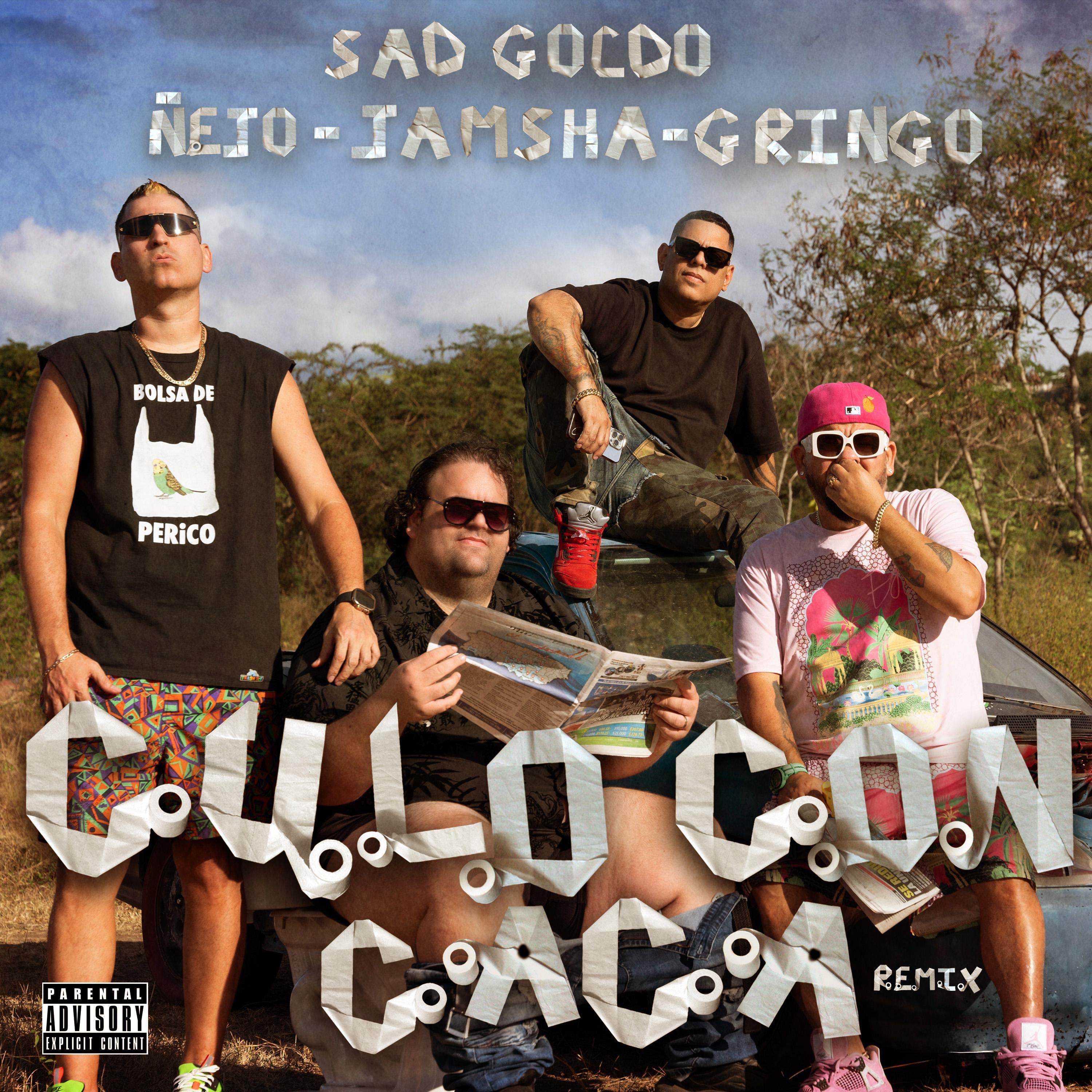 Culo Con C**a (feat. Ñejo, Jamsha & Gringo) [Official Remix] - Single album cover