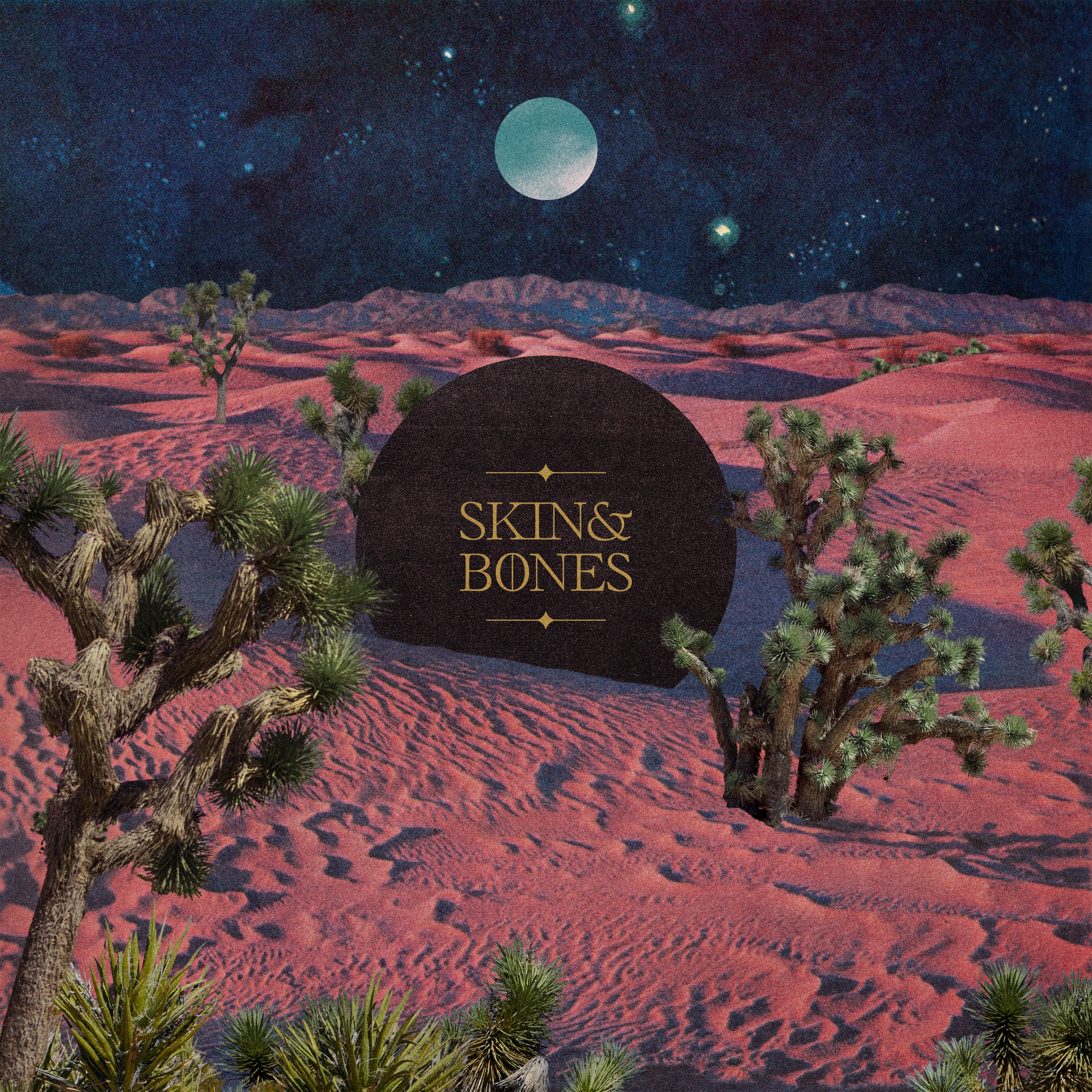 Skin & Bones - Single album cover