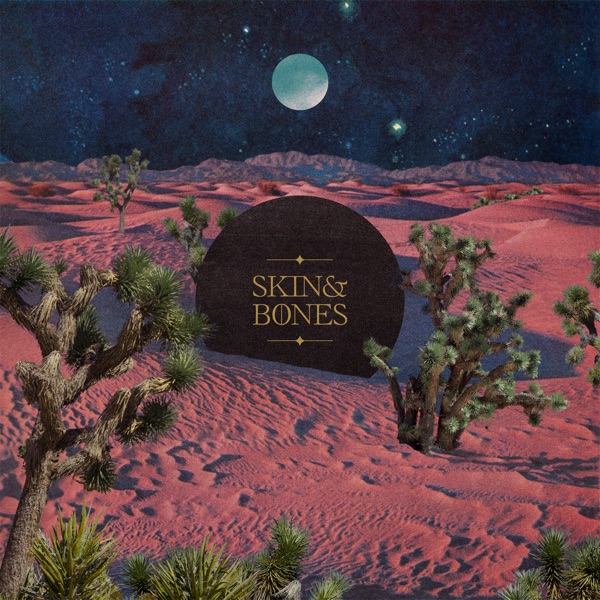 Skin & Bones - Single album cover