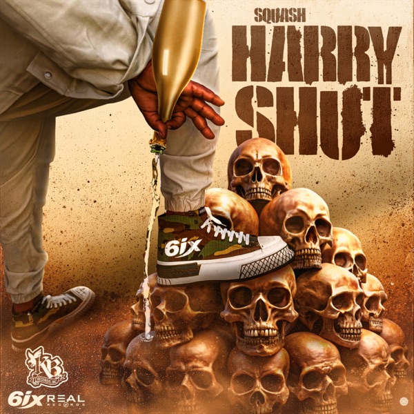Harry Shut - Single album cover
