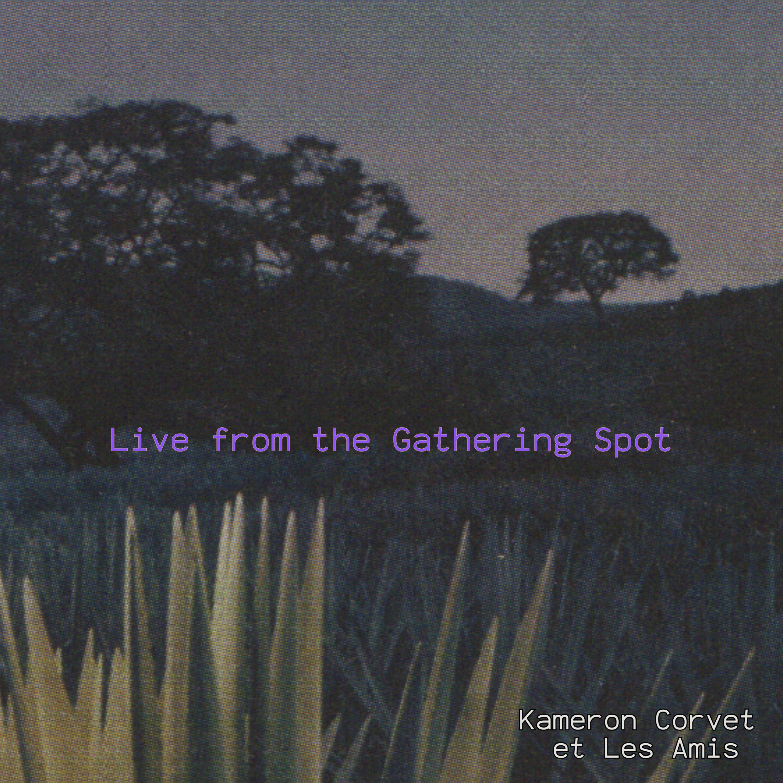 Live from the Gathering Spot - EP album cover