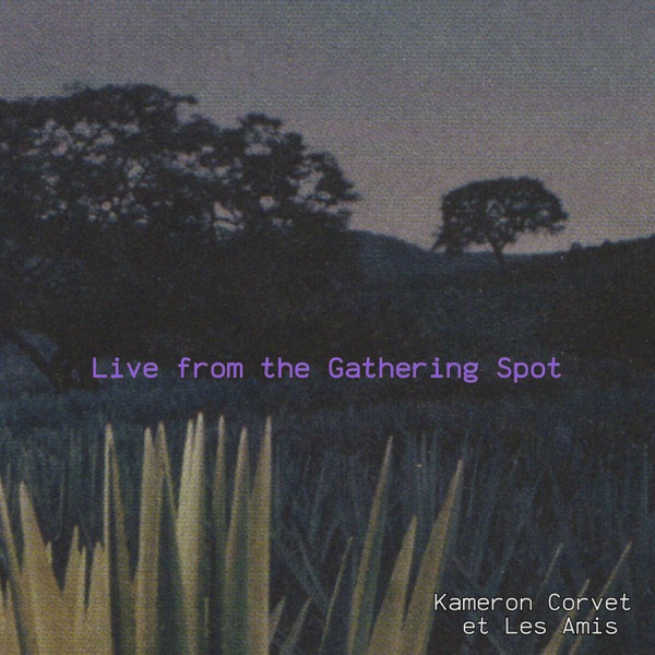 Live from the Gathering Spot - EP album cover
