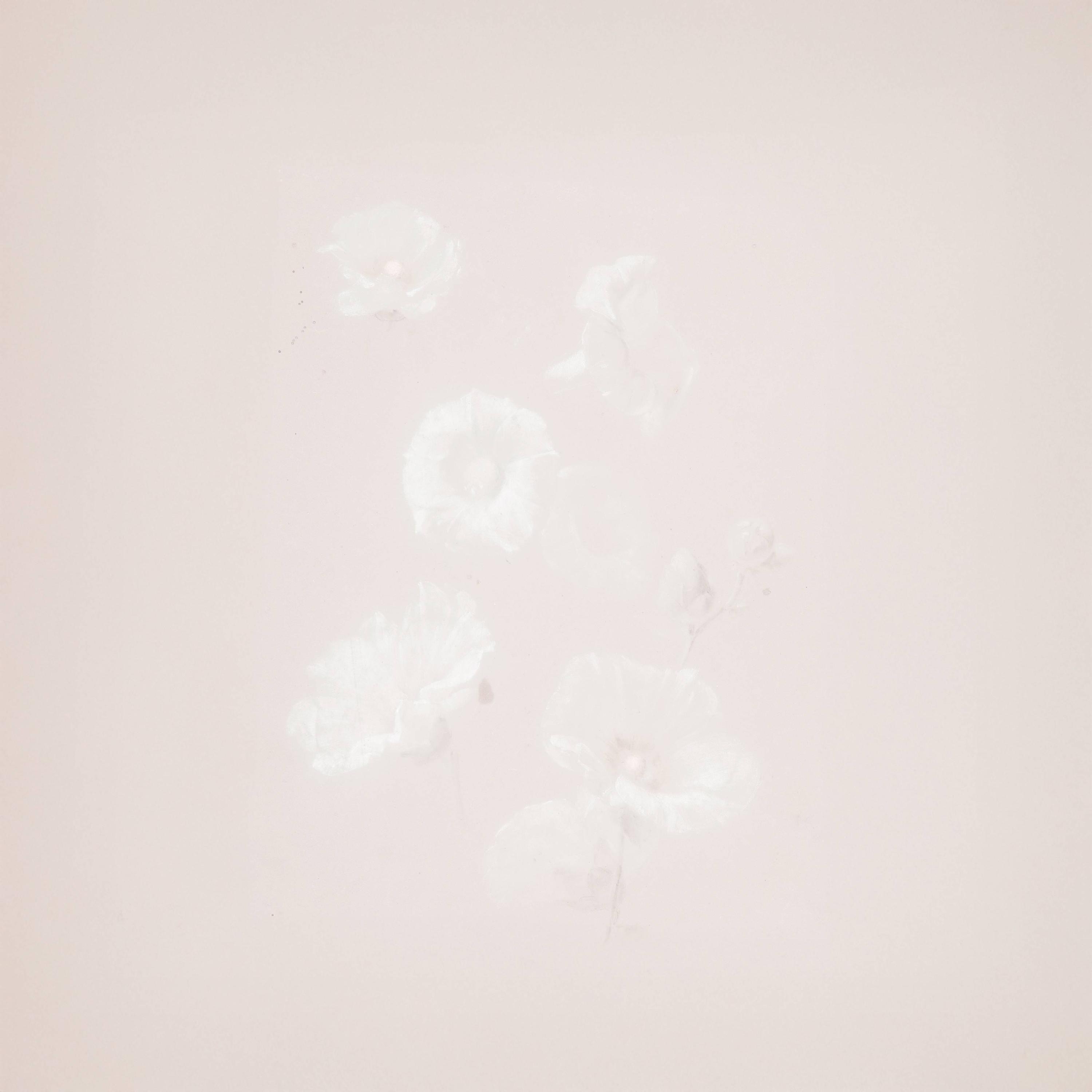 intention album cover