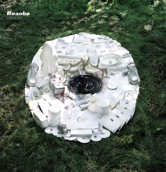 Days To Come album cover