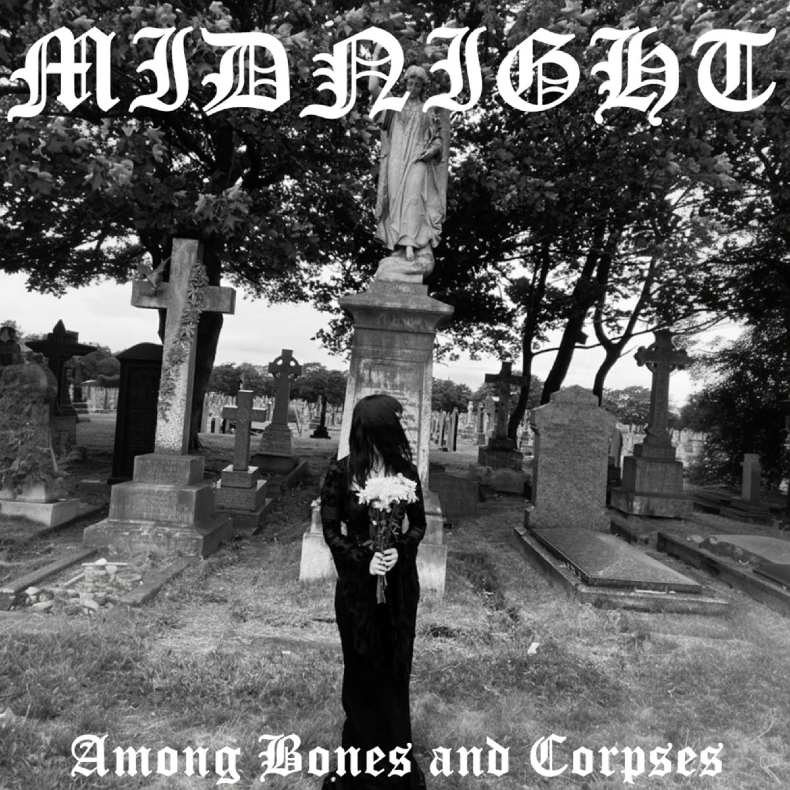 Among Bones and Corpses album cover