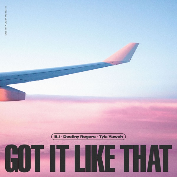 Got It Like That - Single album cover
