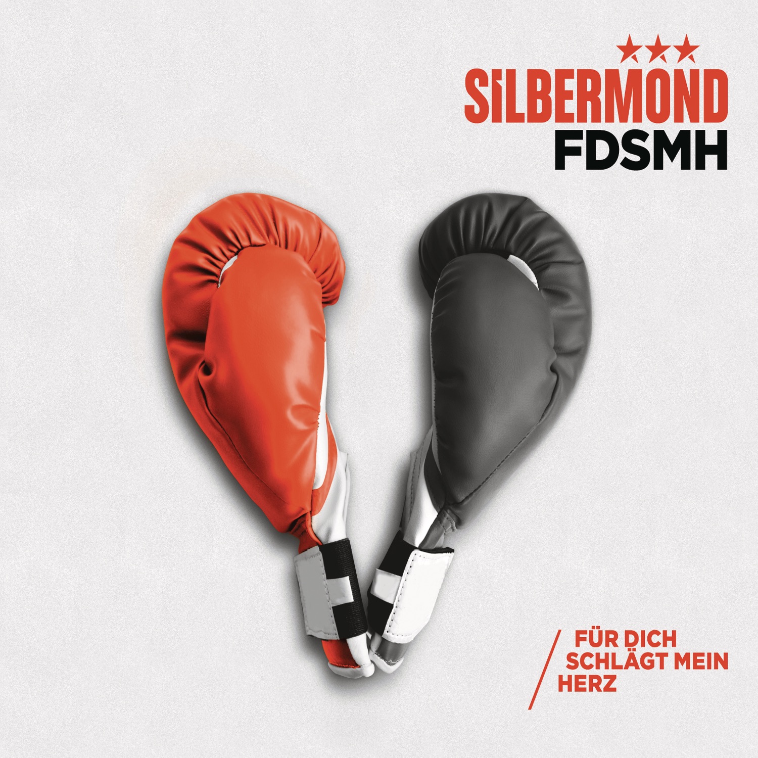 FDSMH (Für dich schlägt mein Herz) - EP album cover