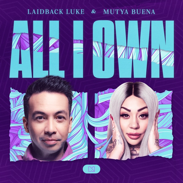 All I Own - Single album cover