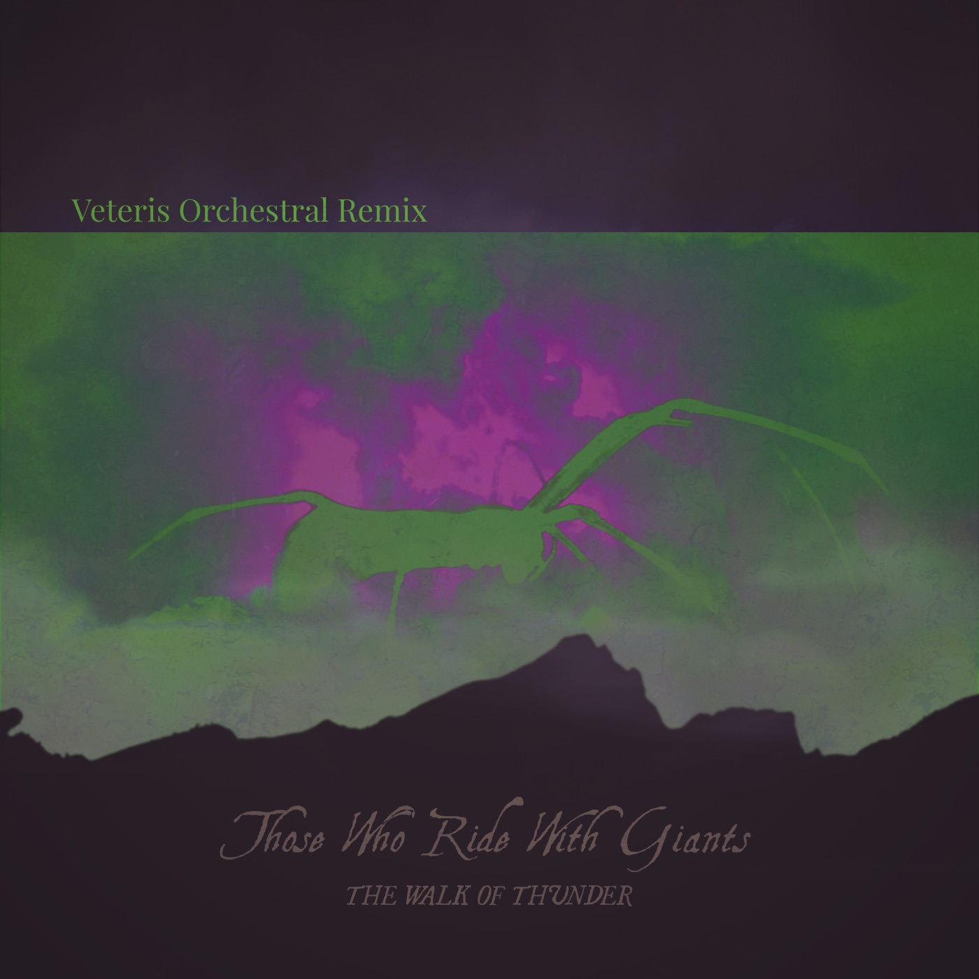 The Walk of Thunder (Veteris Remix) - Single album cover