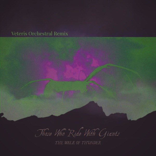 The Walk of Thunder (Veteris Remix) - Single album cover