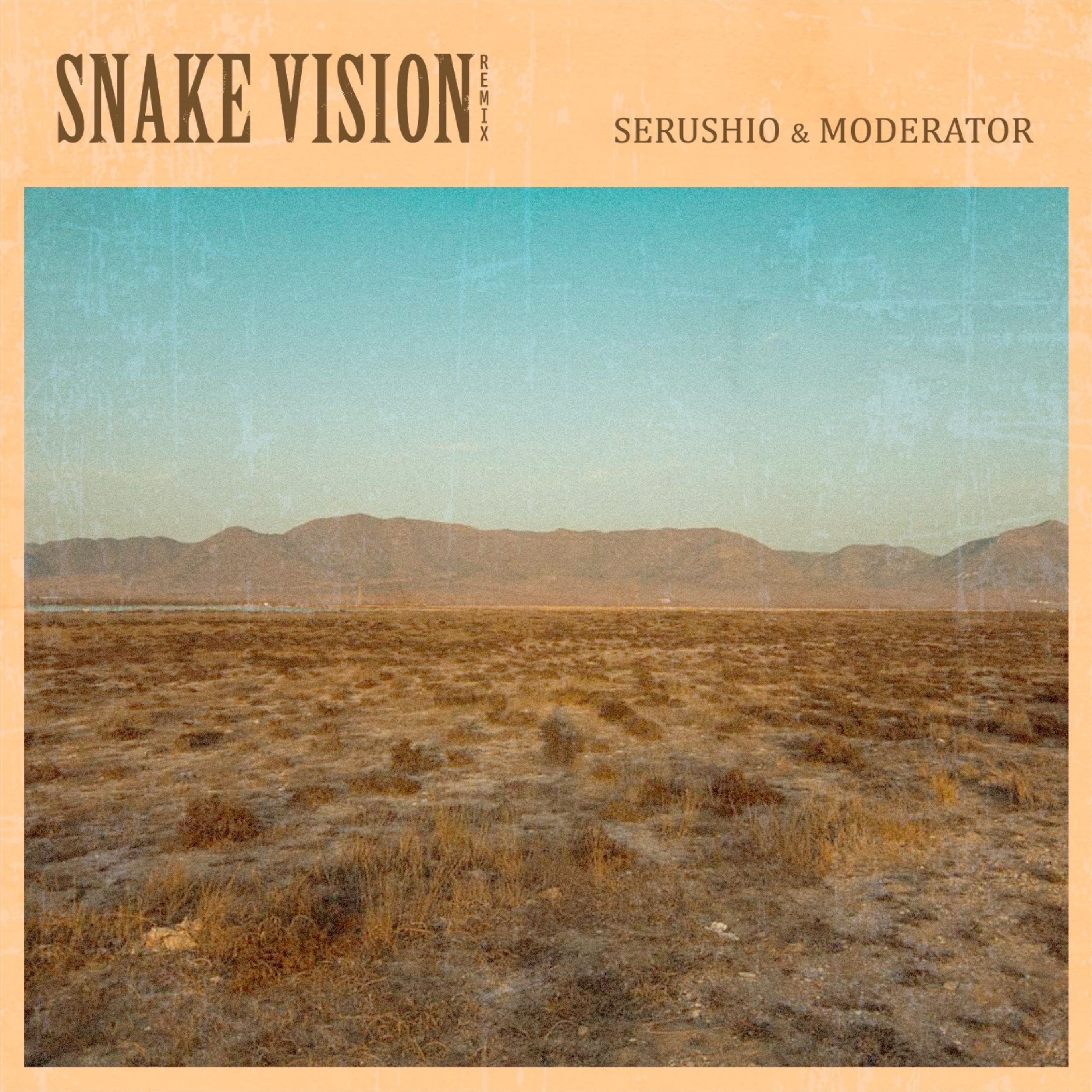 Snake Vision (Remix) - Single album cover