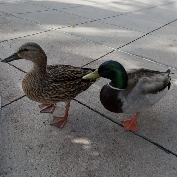 One Day in May - EP album cover